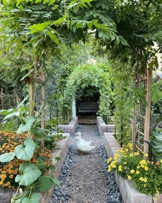 an outdoor garden with lots of plants and flowers on the ground, along with a white duck