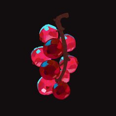 a bunch of red grapes hanging from a branch on a black background in the dark