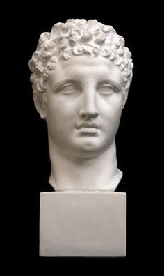 a white marble bust of a man's head with curly hair on a black background