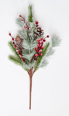 a branch with pine cones, berries and evergreen needles is shown against a white background