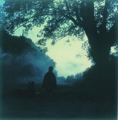 a man standing next to a dog under a tree on a field at night time