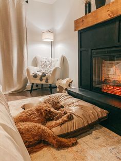 a dog laying on a pillow in front of a fire place that is lit up