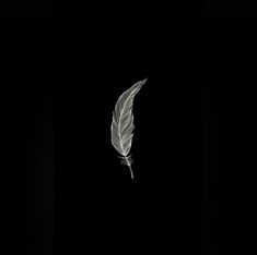 a single white feather floating in the dark