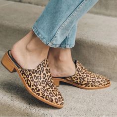 Nib Soludos Venetian Mule In Leopard Print. Amazing. Mule Clogs, Mules Shoes, Black Tan, Black And Tan, Mule, Clogs, Leopard Print, Women Shoes, Women Shopping