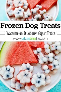 watermelon, blueberry, and yogurt treats with text overlay that reads frozen dog treats