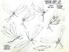 some drawings of different types of dragonflies