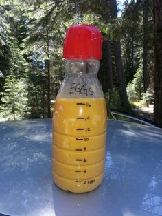 a yellow plastic bottle sitting on top of a table in the woods with writing on it