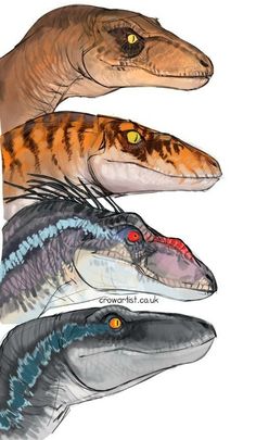 three different types of dinosaurs are shown in this drawing technique, including the head and neck