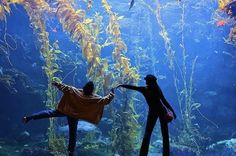 two people standing in front of an aquarium