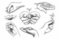 several hands holding plants and seeds