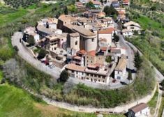 an aerial view of a village in the countryside