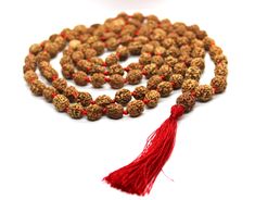 Welcome, Namaste  We offer 100% Money Back, No Questions Asked. Bid with confidence. 4 FOUR MUKHI RUDRAKSHA 108 + 1 beads MALA with Long Red beautiful Tassel 4 Mukhi 108 + 1 beads mala with long tassel All beads are Indonesian 4 Mukhi (facet) This mala is stranded Tibetan style with no knots in between the beads.  Length Of Mala: 110 cm  Size Of Beads : 10-11 mm Mukhi Facet: 4 Mukhi Number Of Beads : 108 +1 100% Original & Authentic ORIGIN :: Java (Indonesia) RULING DEITY - BRAHMA RULING PLANET Rudraksh Mala, Rudraksha Mala, Rudraksha Beads, Beads Mala, Long Red, Mala Beads, Prayer Beads, Natural Beads, Namaste