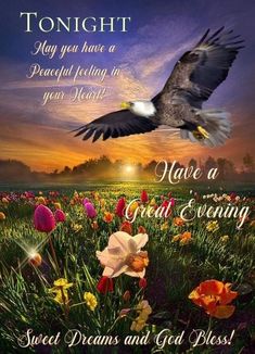 a greeting card with an eagle flying over flowers and the words, have a great evening