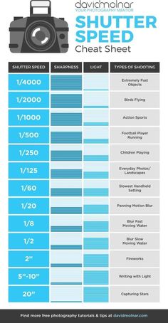 an info sheet showing the different types of cameras