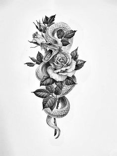 a snake and rose tattoo design