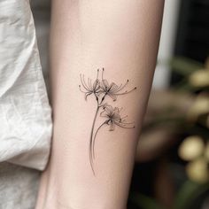 Spider Lily Tattoo Art Pack Spider Lily Tattoo Black And White, Spider Lily Tattoo, Vibrant Tattoos, Aesthetic Tattoo Ideas, Classy Tattoos For Women, Colour Tattoo For Women, Purple Tattoos, Tarot Tattoo, Lily Art