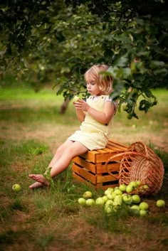 Apple Orchard Photography, Apple Orchard Pictures, Baby Announcement Photoshoot, Easter Photoshoot, Toddler Photoshoot, Foto Newborn, Apple Photo, Toddler Photography, Farm Photo