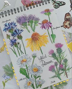 an open notebook with drawings of flowers and butterflies on the pages next to each other