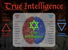 True intelligence left right brain hemispheres unity masculine feminine, logic intuition, thoughts emotions by Mark Passio of what on earth is happening Left Right Brain, Brain Hemispheres, Mark Passio, Quantum Consciousness, Energy Consciousness, Jungian Psychology, Basic Anatomy And Physiology, Universal Consciousness