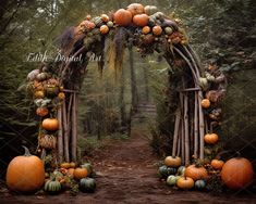 an archway with pumpkins and gourds on the sides is surrounded by trees