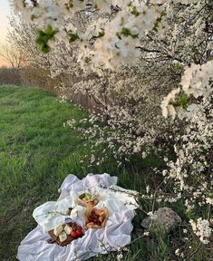 an open blanket on the ground in front of some trees with white flowers and fruit