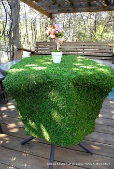 a potted plant sitting on top of a wooden table covered in green grass next to a bench