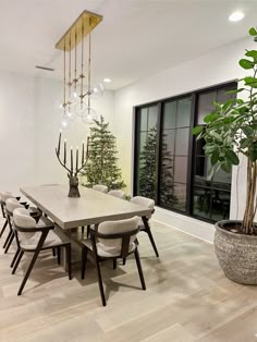 a dining room table with chairs and a potted plant