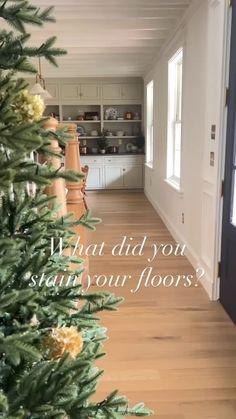 a christmas tree with the words what did you start your floors?