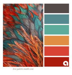 the color scheme is red, orange and green with an image of feathers on it