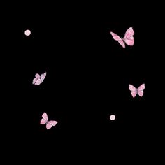 several pink butterflies flying in the dark with white dots on their backs and wings,