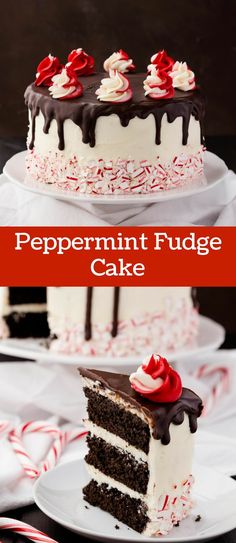 peppermint fudge cake with chocolate frosting and candy canes