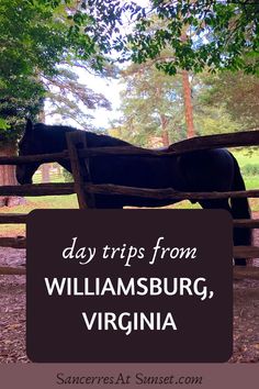 a black horse standing in front of a fence with the words day trips from williamsburg, virginia