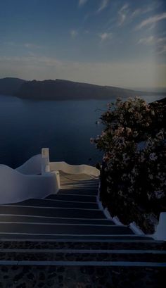 stairs leading down to the water with flowers growing on them