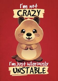 i'm not crazy, i'm just hilariously unstable