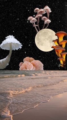 an image of mushrooms floating in the air above water and sand at night with full moon behind them