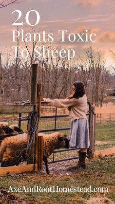 a woman standing next to a fence with sheep behind it and text overlay that reads, 20 plants tonic to sleep