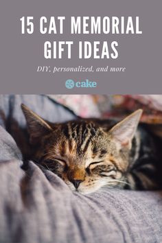 a cat sleeping on top of a bed with the words, 15 cat memorial gift ideas diy personalized and more