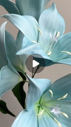 some blue flowers are in a vase on a table