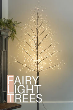 a small tree with white lights on it and the words fairy light trees above it