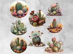 a bunch of different kinds of cactuses on a white background with some pink and green flowers