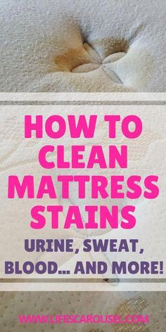 Linktree. Make your link do more. How To Clean Mattress, Clean Mattress Stains, Clean Mattress, Deep Cleaning Hacks, Urine Smells