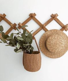 a plant in a basket next to a hat on a wall