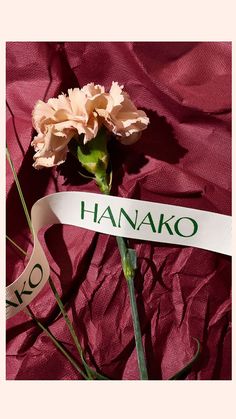 a pink carnation with a white ribbon that says hanako next to it on a red cloth