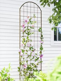 a metal trellis with flowers growing on it in front of a white house and window