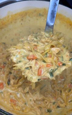 a ladle full of noodles and vegetables being held up by a metal spoon in a pot