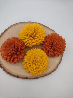 four orange and yellow flowers on a wood slice