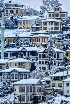 snow covered houses and trees in the background