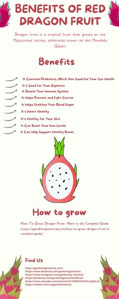 the benefits of red dragon fruit info sheet for kids to learn how to grow them