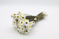 a bunch of white and yellow flowers on a white surface with the stems still attached