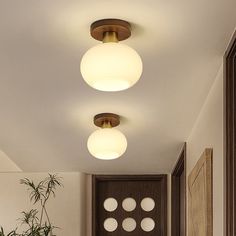 two lights are on above a door in a hallway with potted plants and rugs